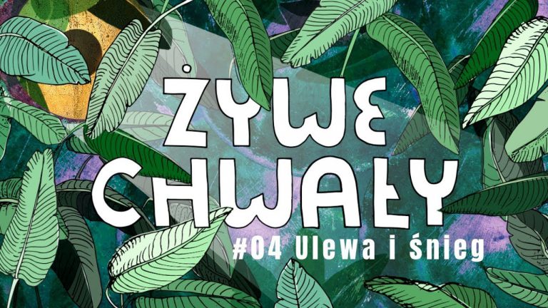 “Ulewa i śnieg” [Owca]				    	    	    	    	    	    	    	    	    	    	5/5							(2)						